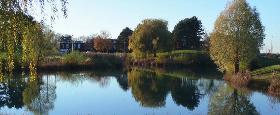 Vue du parc du lac des Trois Parts